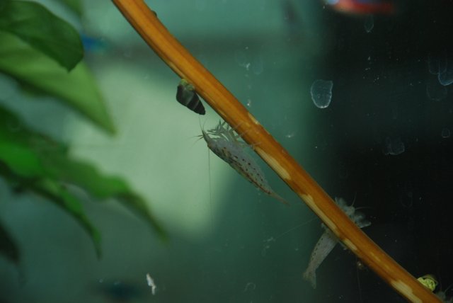 camera practice with speedflash 127.jpg