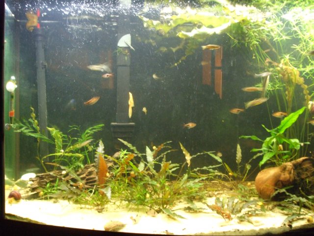 Jan. 3, left side.jpg