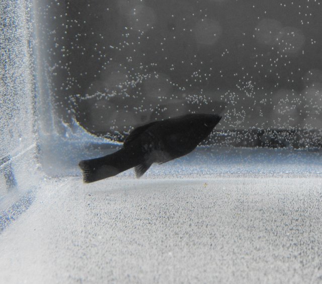 January 2010 027.jpg