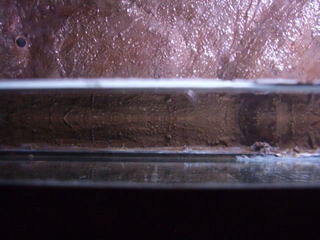 IMGP7076.jpg