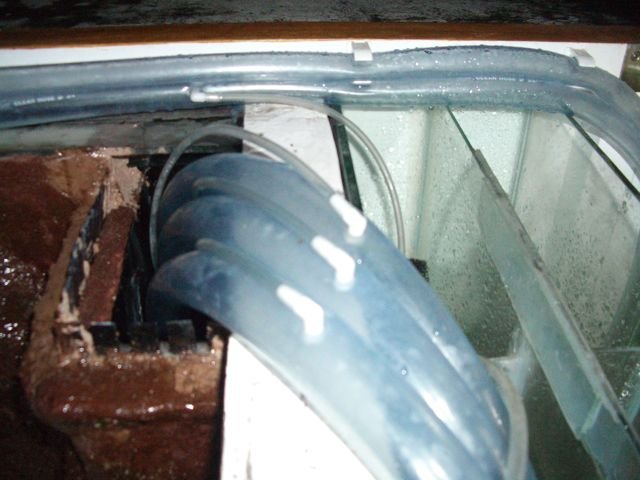 IMGP7081.jpg
