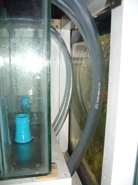 IMGP7082.jpg