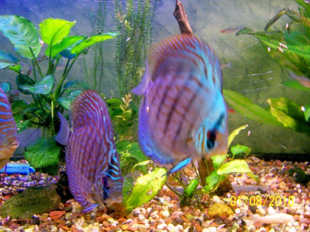 000_3799.jpg