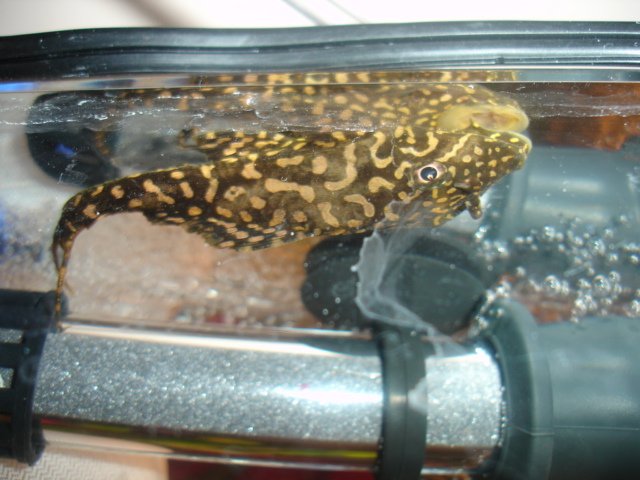 DSC04384.JPG
