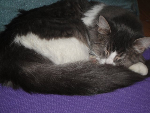 DSC00043.JPG
