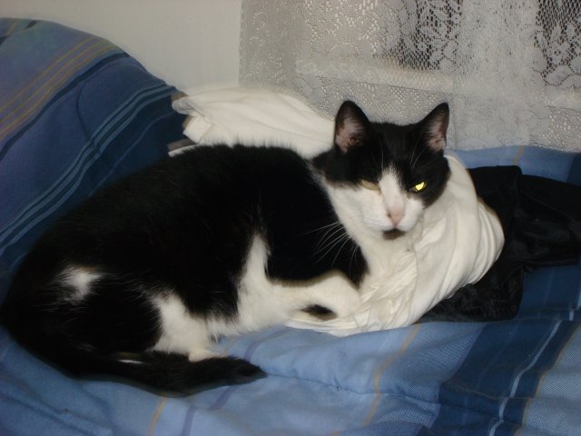 DSC06032.JPG