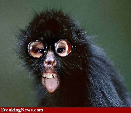 Monkey-Nerd--57647.jpg