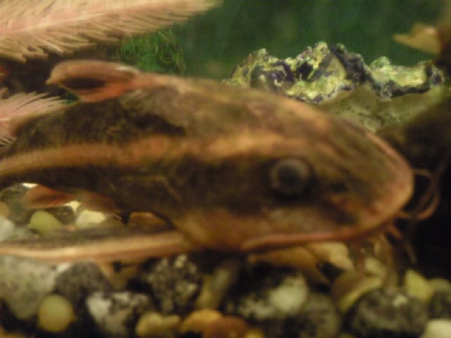 Photo0257.jpg