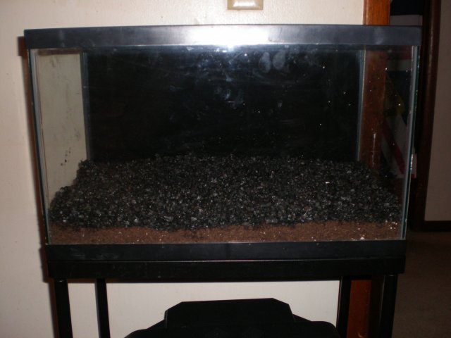 P8220083_01.JPG