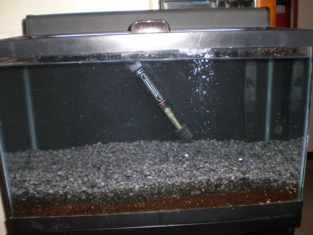 P8220084_01.JPG