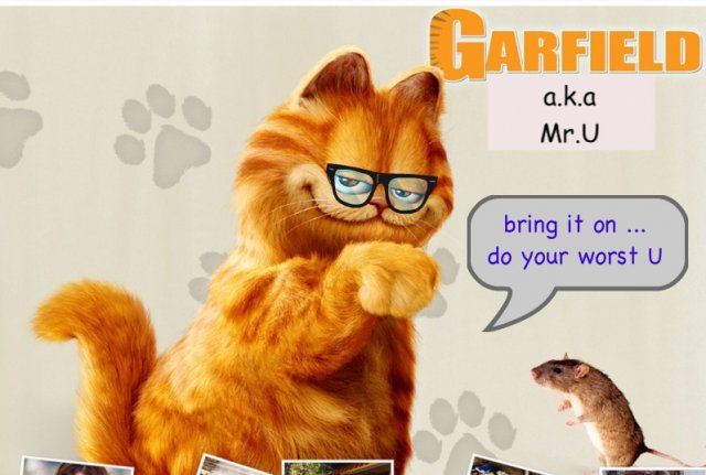 Garfield-the-Movie-garfield-4142-1.jpg
