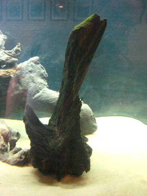 IMG_3284.JPG