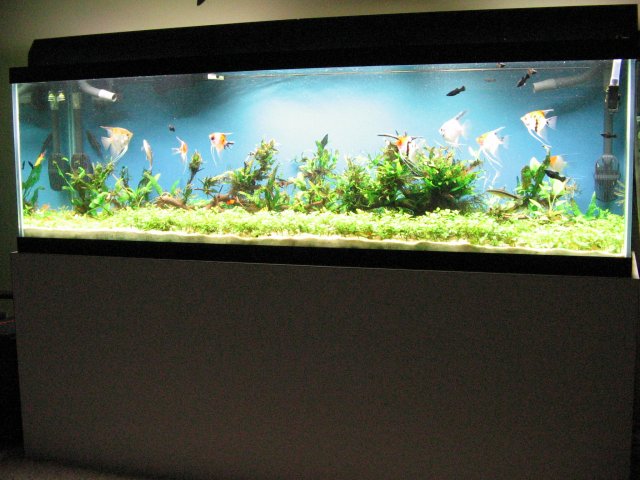 IMG_0001.JPG