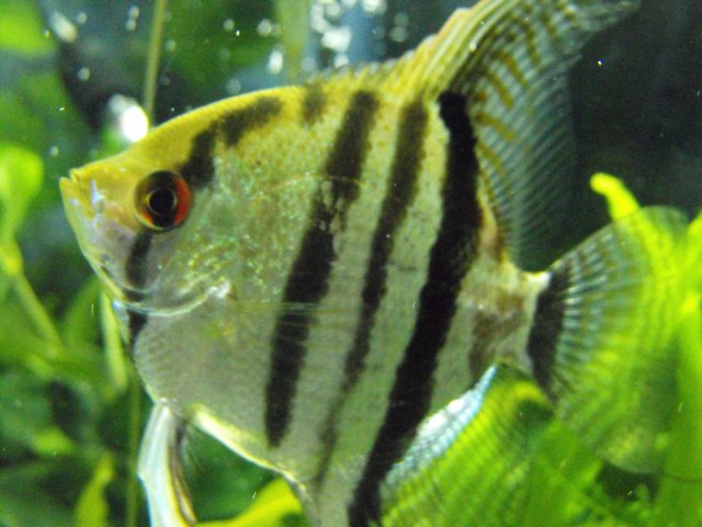January 2010 025.jpg