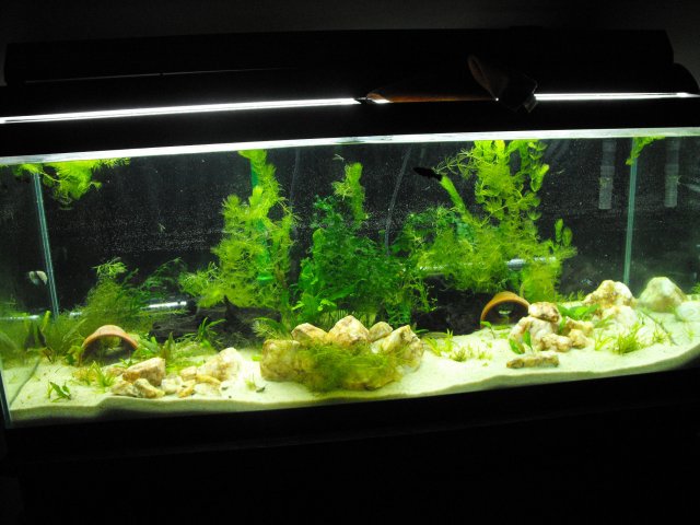 December 2009 152.jpg