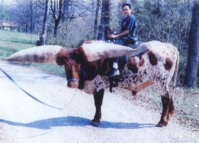 huge+horns3.jpg