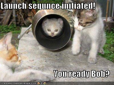funny-pictures-bob-is-launched-into-outer-space.jpg