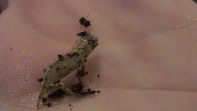 DSC00205.JPG