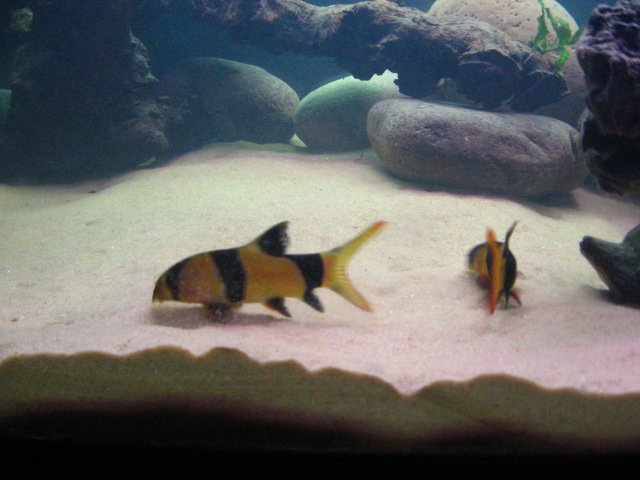 IMG_3301.JPG