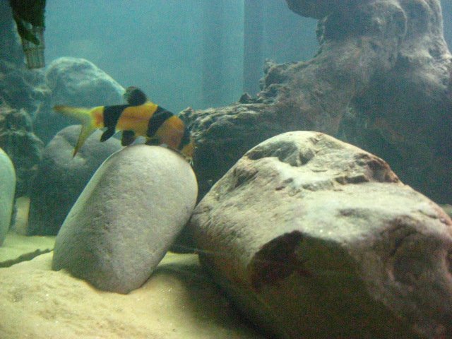 IMG_3327.JPG