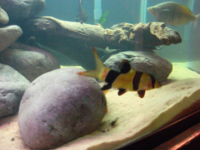IMG_3328.JPG
