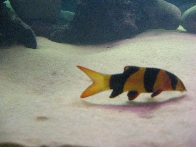 IMG_3326.JPG