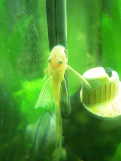 DSCN3140.JPG