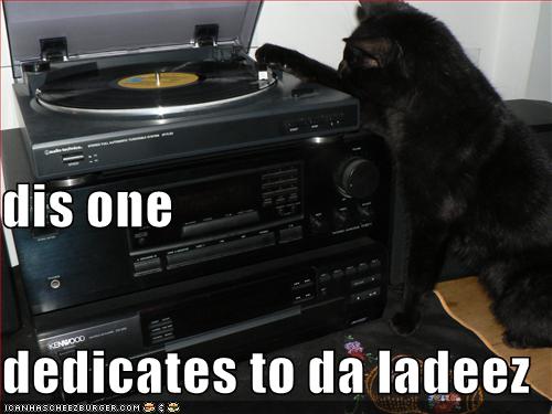 funny-pictures-cat-dedicates-a-song-to-the-ladies.jpg