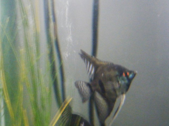 DSCF0512.jpg