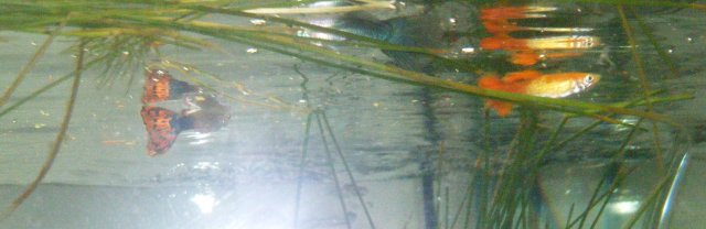 DSCF0577.jpg