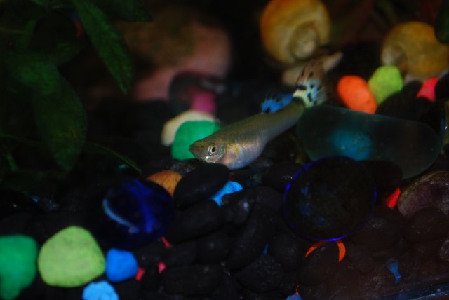 DSC_0003.JPG DSC_0003.JPG