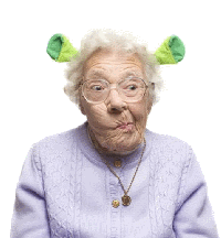 Crazy Old Lady.gif