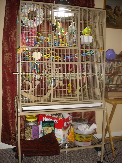 cage 008.JPG
