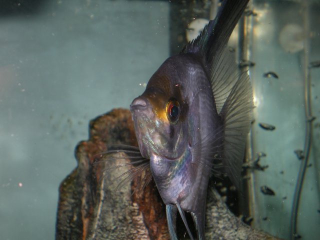 IMGP5109.JPG