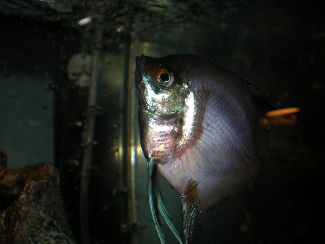 IMGP5110.JPG