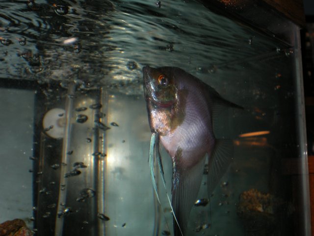 IMGP5111.JPG