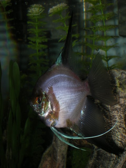 IMGP5117.JPG