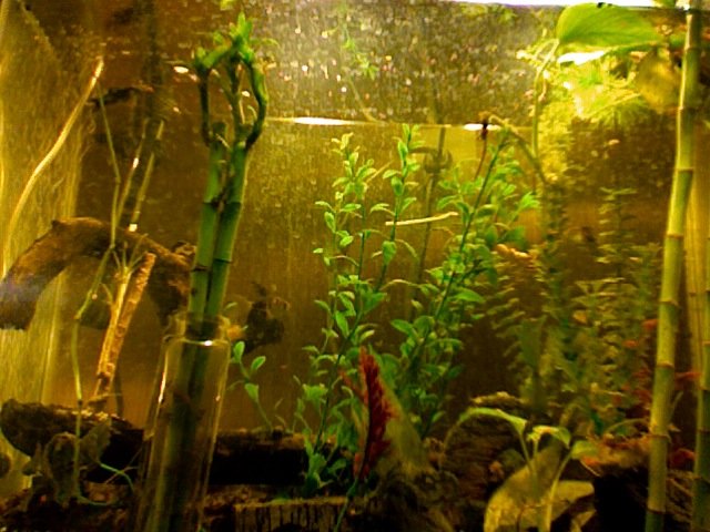 Photo 40.jpg