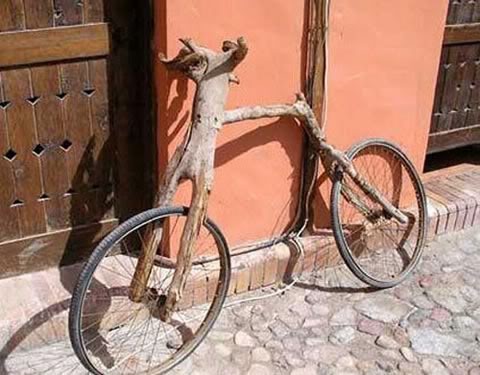 CCMs first bike.jpg