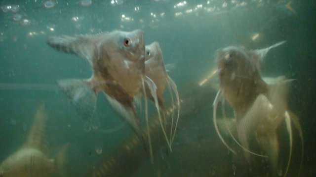 DSC01754.JPG