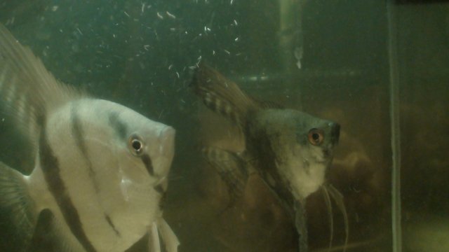 DSC01766.JPG
