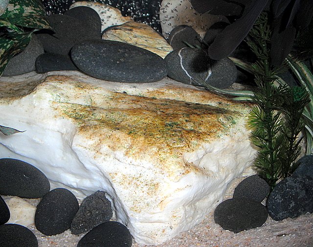 DSCF1059.jpg