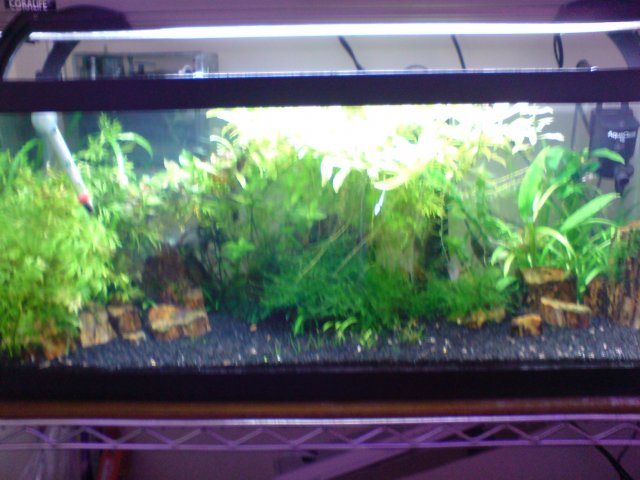DSC02695.JPG
