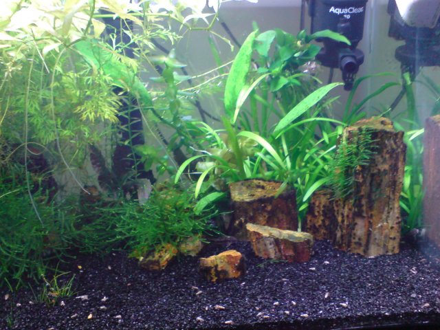 DSC02696.JPG