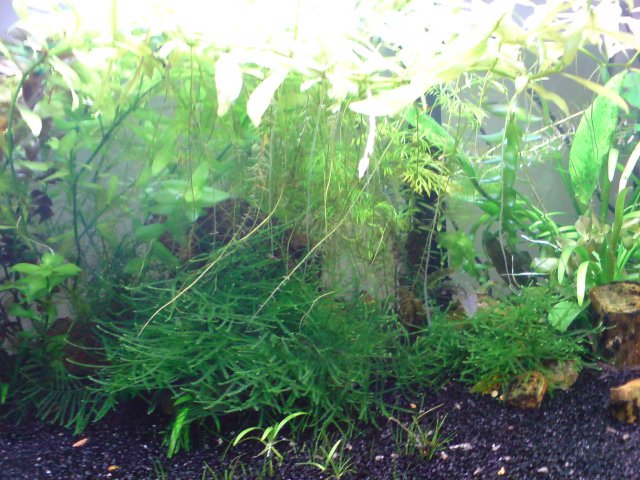 DSC02697.JPG
