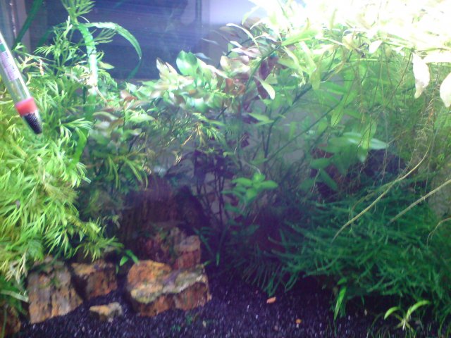 DSC02698.JPG