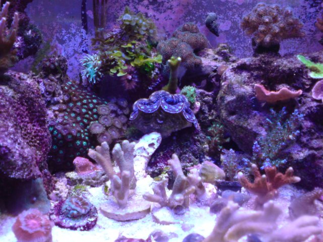 DSC02686.JPG