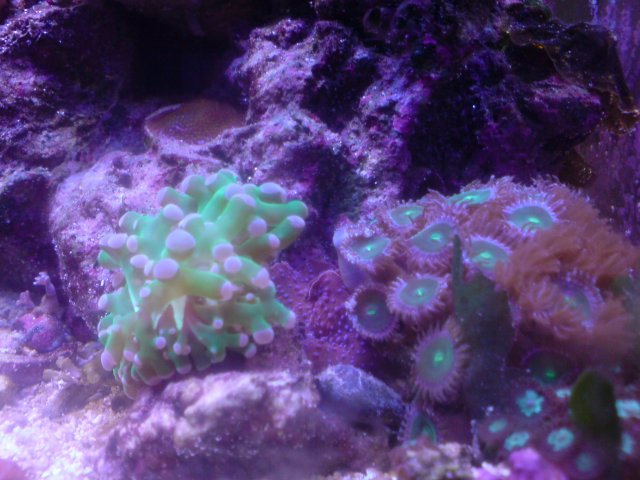 DSC02689.JPG