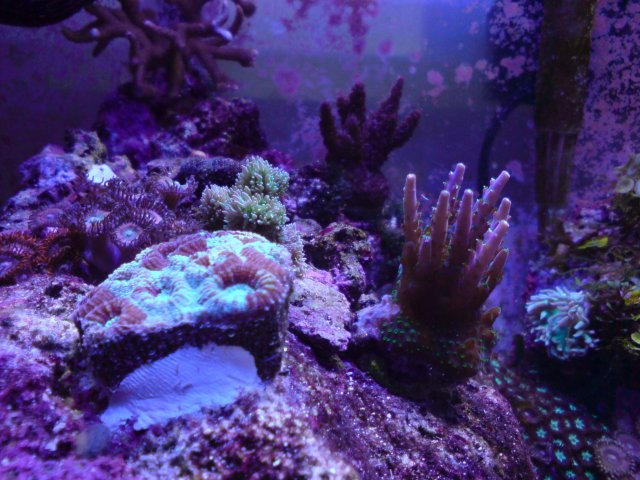 DSC02693.JPG