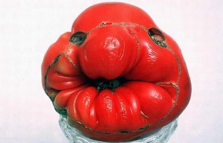 fruit 4.jpg